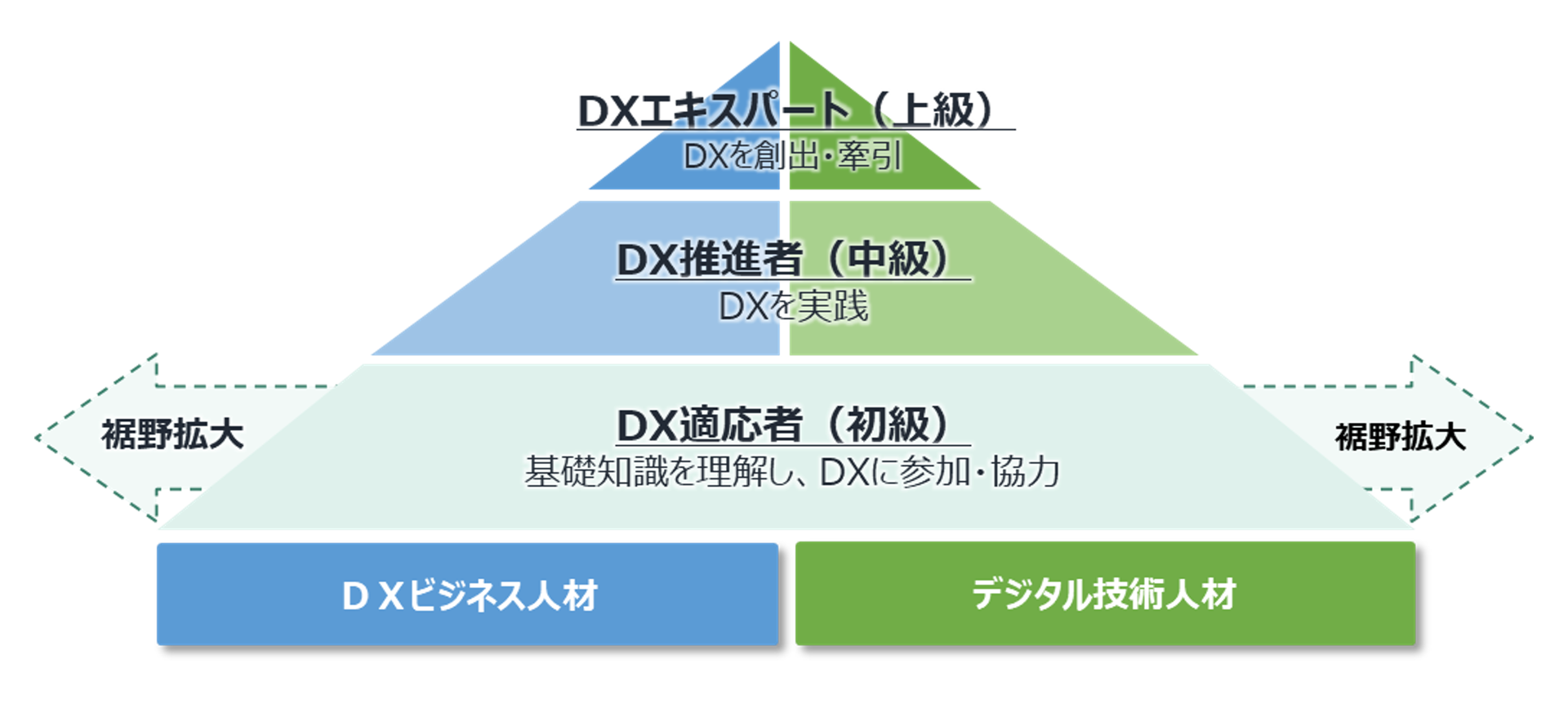 DXビジネス人材、デジタル技術人材
