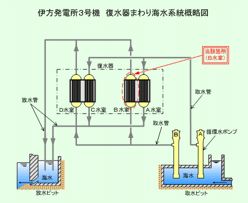 伊方発電所3号機　復水器まわり海水系統概略図