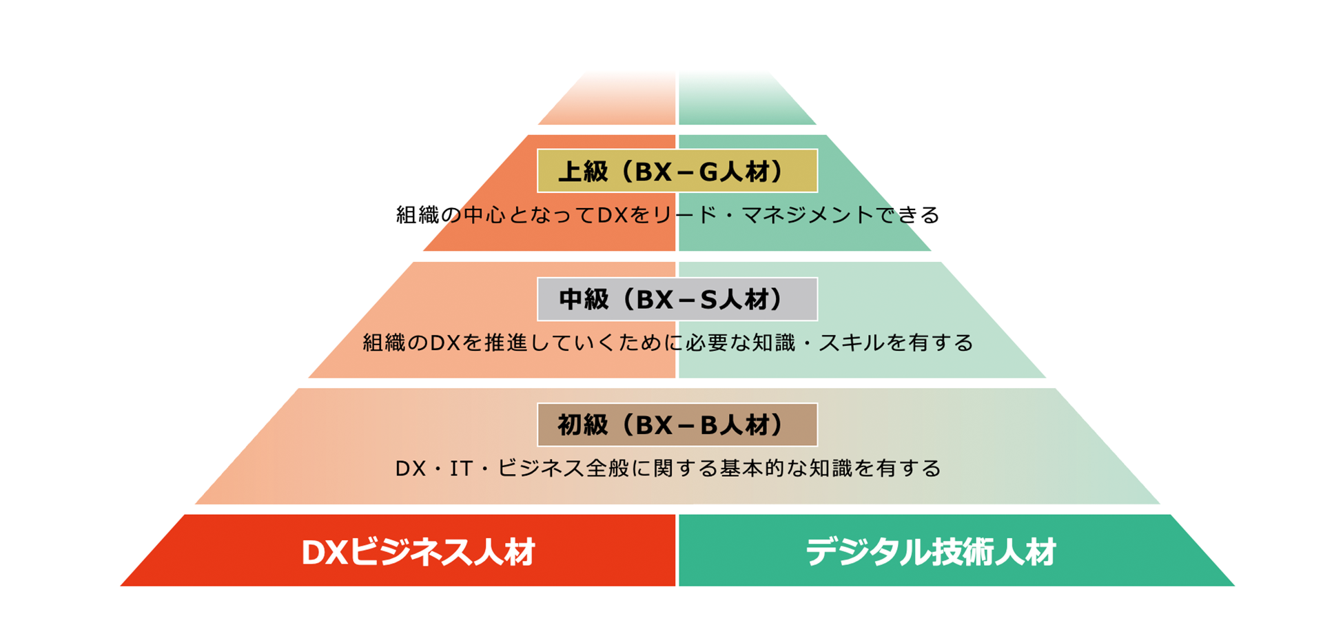 DXビジネス人材、デジタル技術人材