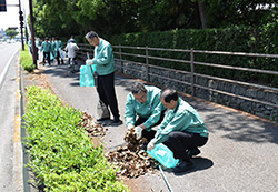大洲肱川沿い
