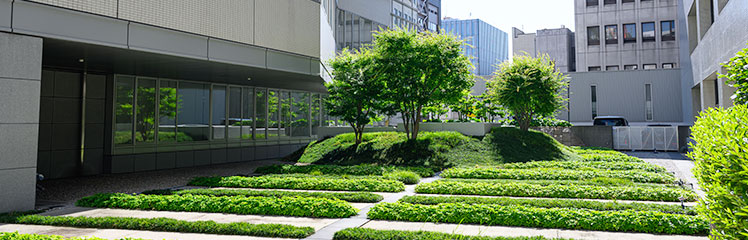 カーボンニュートラルに向けた取り組み