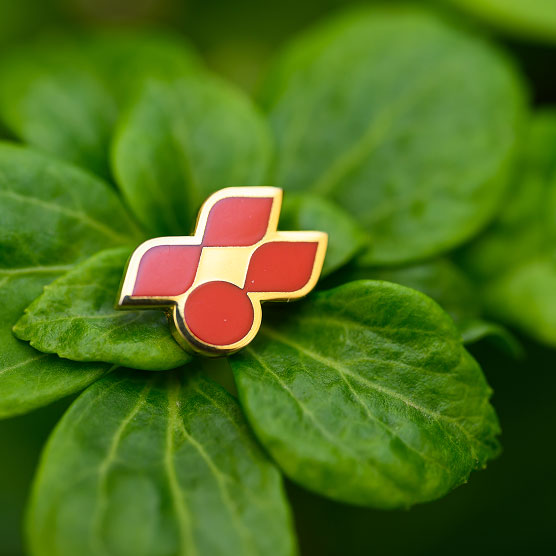 よんでんグループ環境方針