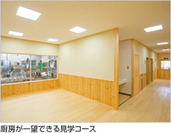 厨房が一望できる見学コース