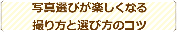 写真選びが楽しくなる撮り方と選び方のコツ