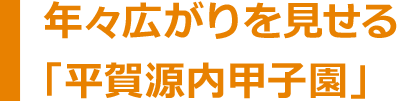 年々広がりを見せる「平賀源内甲子園」