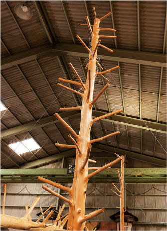 ヒノキの上部は、「木登り柱」としても活用。子どもたちにも人気だ