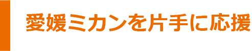 愛媛ミカンを片手に応援