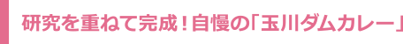 研究を重ねて完成！自慢の「玉川ダムカレー」