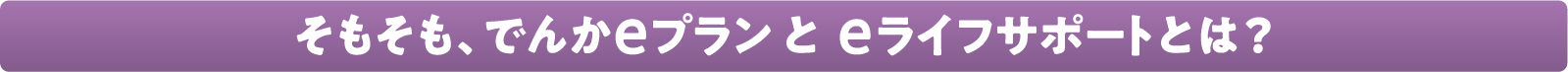 そもそも、でんかeプランとeライフサポートとは?