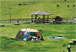 姫鶴平キャンプ場