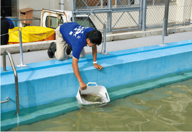 「魚を水槽に移すときには、水になじませてから、そっと放つ