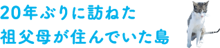 20年ぶりに訪れた祖父母が住んでいた島