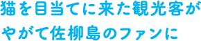 猫を目当てに来た観光客が