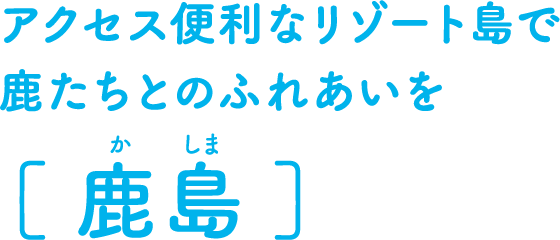 アクセス便利な