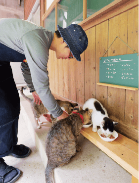 建物の裏手には「猫のためのカフェ（エサやり場）」も。常連の猫がやってくる