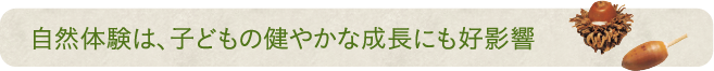 自然体験は、子どもの健やかな成長にも好影響