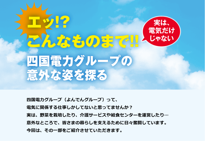 エッ!?こんなものまで!!　四国電力グループの意外な姿を探る