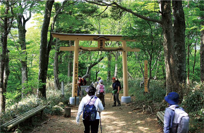 鳥居周辺の様子