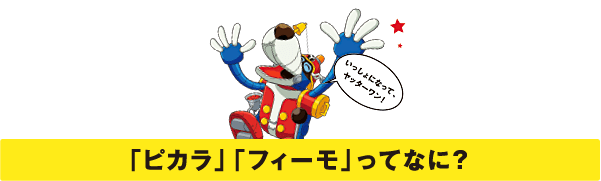 「ピカラ」「フィーモ」ってなに?