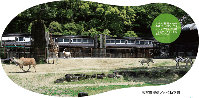 サバンナ観測センターの様子