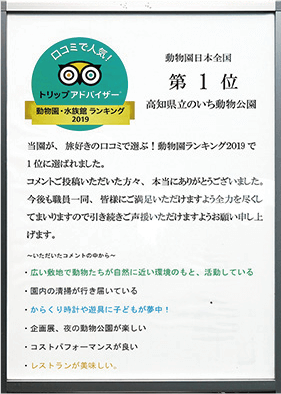 トリップアドバイザー動物園・水族館ランキング2019 第1位