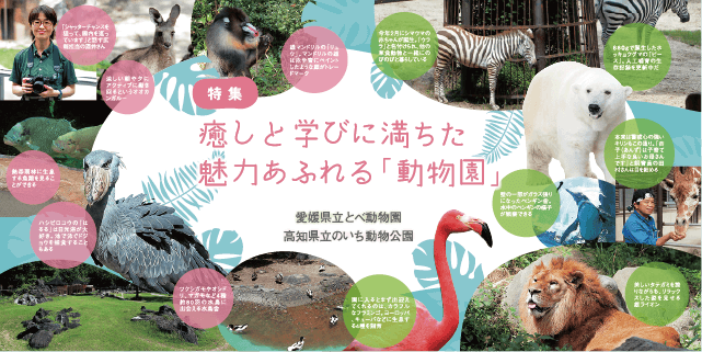 特集　癒しと学びに満ちた魅力あふれる「動物園」