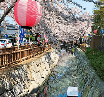 鹿ノ井手水の桜