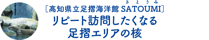 [高知県立足摺海洋館 SATOUMI]リピート訪問したくなる足摺エリアの核