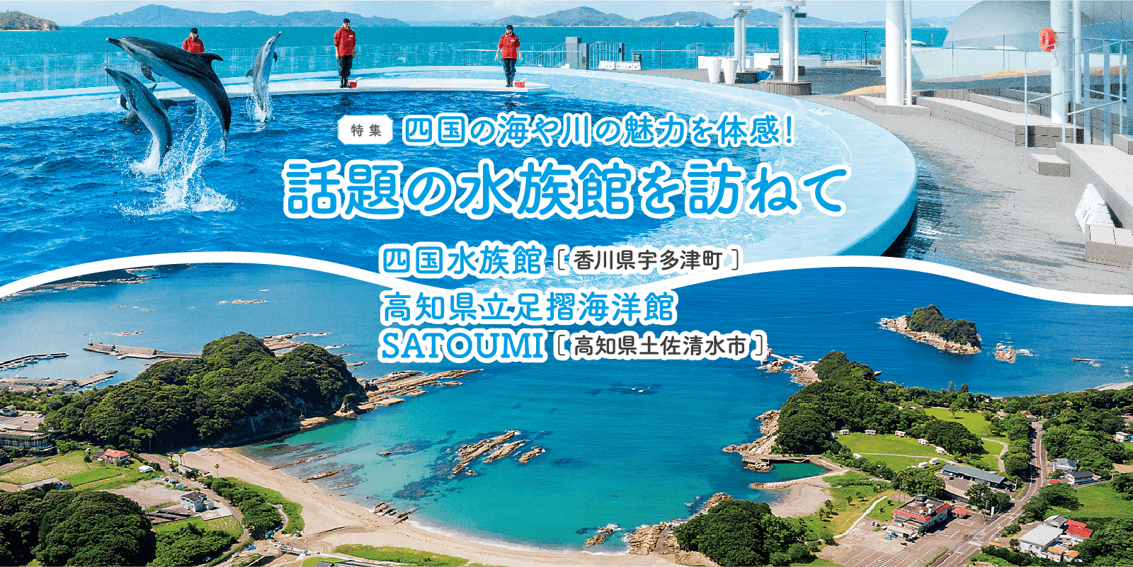 四国の海や川の魅力を体感！話題の水族館を訪ねて