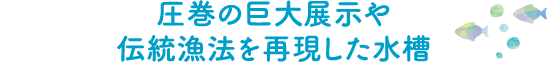 圧巻の巨大展示や伝統漁法を再現した水槽