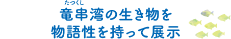 竜串湾の生き物を物語性を持って展示