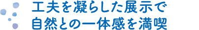 工夫を凝らした展示で自然との一体感を満喫