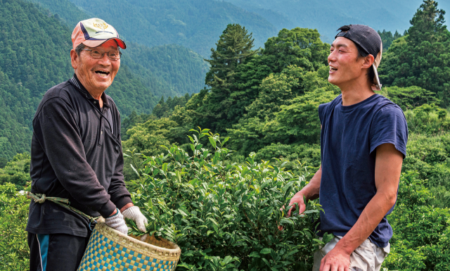 上勝阿波晩茶