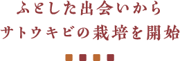 ふとした出会いからサトウキビの栽培を開始