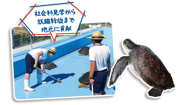 イルミネーション廃校水族館