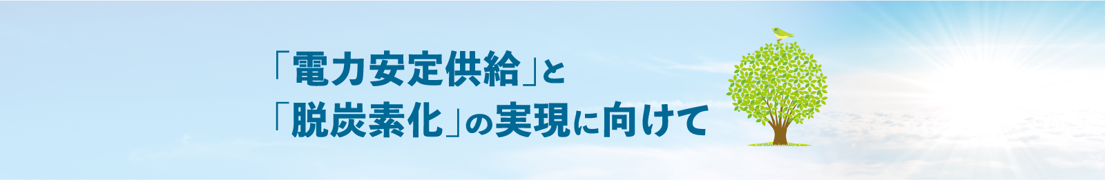 「電力安定供給」と「脱炭素化」の実現に向けて