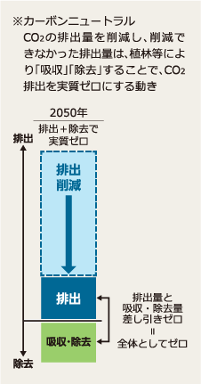 カーボンニュートラルの説明