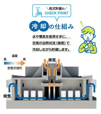 冷却の仕組み水や電気を使用せずに、空気の自然対流（換気）で冷却しながら貯蔵します。