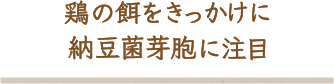 鶏の餌をきっかけに納豆菌芽胞に注目