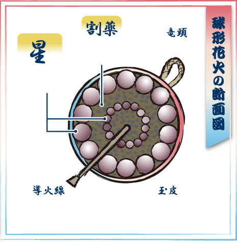 球形花火の断面図
星　火や煙を出しながら燃える火薬の粒
割薬　花火玉を上空で破裂させ星を飛ばす
竜頭　取っ手
導火線　中の割薬に点火させる線
玉皮　火薬を包む紙
資料提供／（公社）日本煙火協会