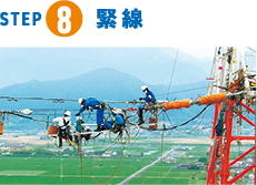 STEP8 緊 線