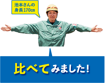 池本さんの身長170㎝と比べてみました！