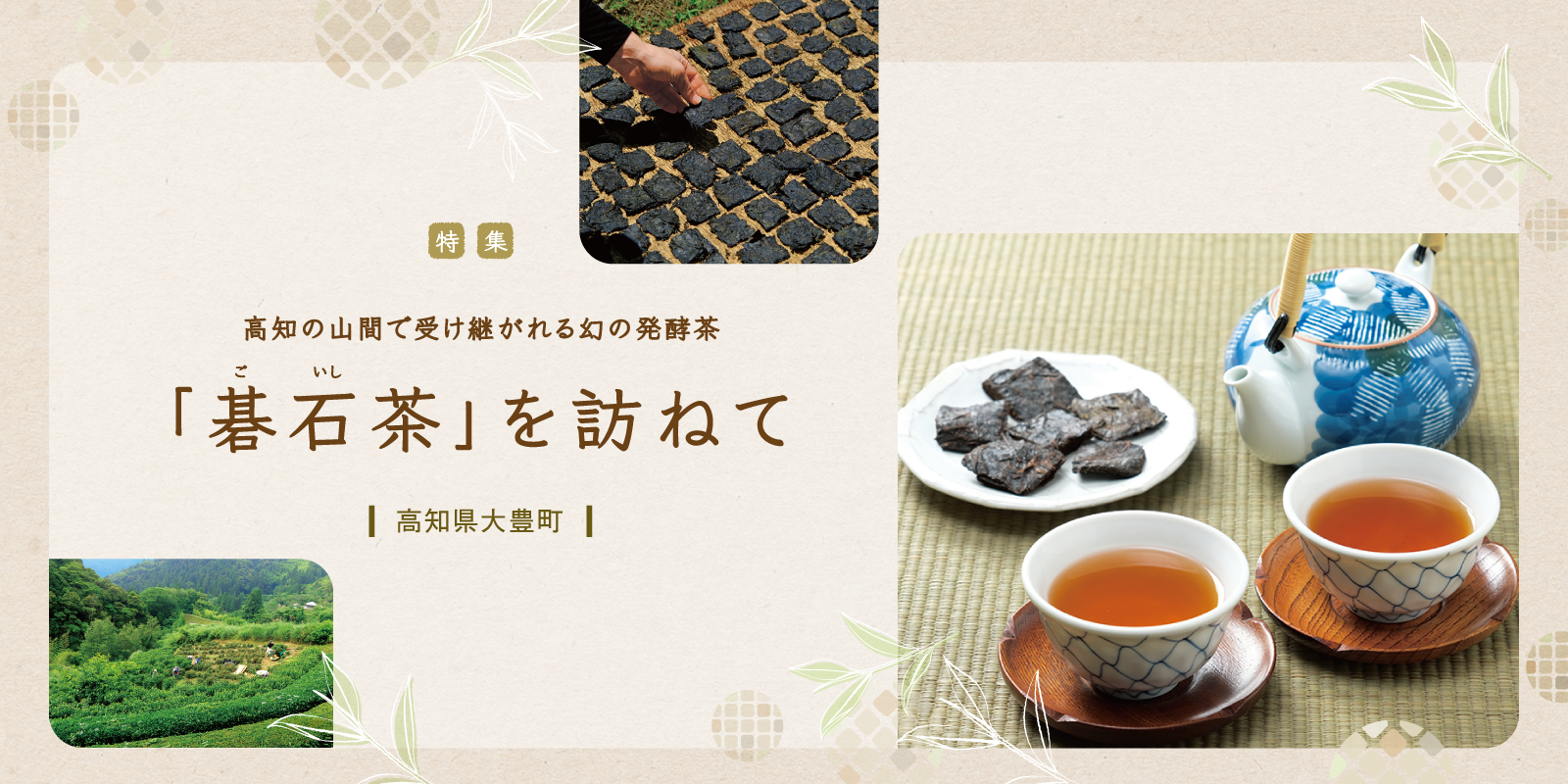 高知の山間で受け継がれる幻の発酵茶 「碁石（ごいし）茶」を訪ねて