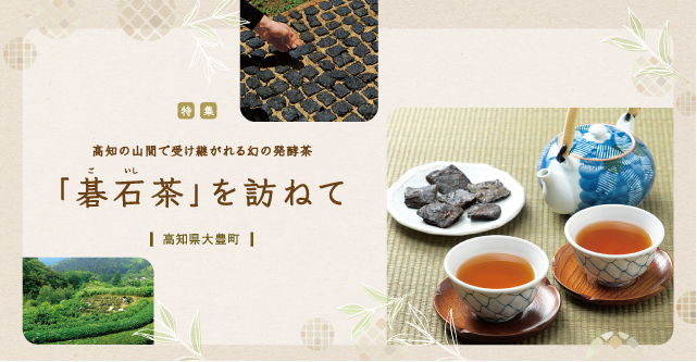 高知の山間で受け継がれる幻の発酵茶 「碁石（ごいし）茶」を訪ねて