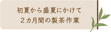 初夏から盛夏にかけて２カ月間の製茶作業