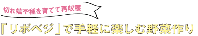 切れ端や種を育てて再収穫「リボベジ」で手軽に楽しむ野菜作り