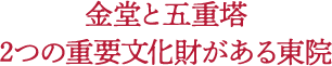 金堂と五重塔 2つの重要文化財がある東院