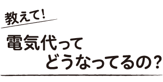 教えて！電気代ってどうなってるの？