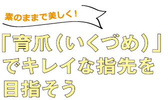 素のままで美しく！「育爪（いくづめ）」でキレイな指先を目指そう