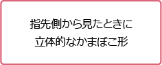 指先側から見たときに立体的なかまぼこ形